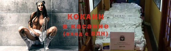 шишки Кулебаки